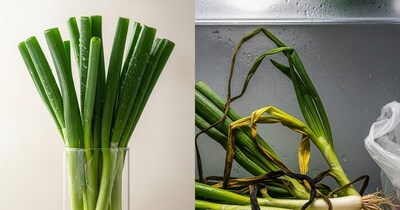 हरी प्याज 2 दिन में हो जाती है खराब? स्टोर करने का जान लें सही तरीका.