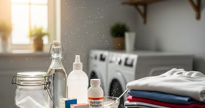 बिना डिटर्जेंट कपड़े धोने के तरीके