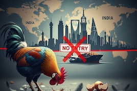 सऊदी अरब ने भारत समेत 40 देश के अंडों पर लगाया प्रतिबंध, बताई ये वजह