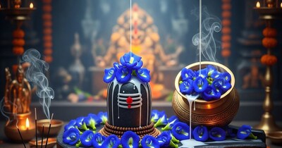 महाशिवरात्रि पर अपराजिता फूल के उपाय