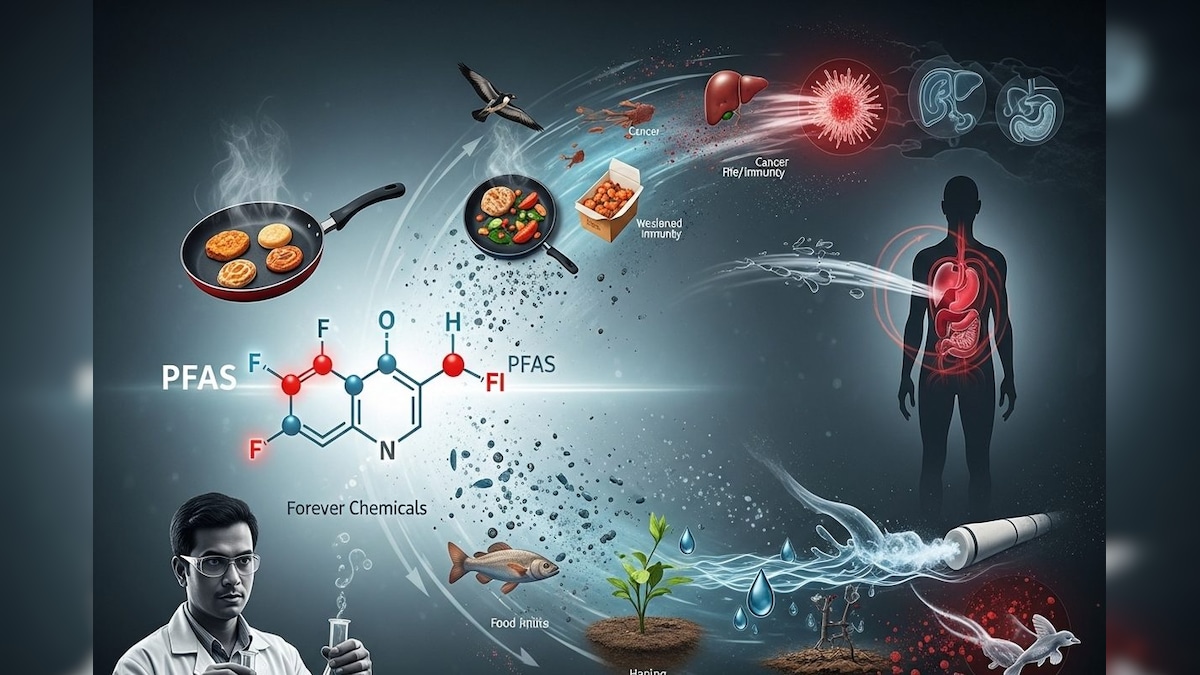 फॉरएवर केमिकल्स का बढ़ता खतरा, पर्यावरण और स्वास्थ्य के लिए बन रहा संकट, वैज्ञानिकों ने दी चेतावनी