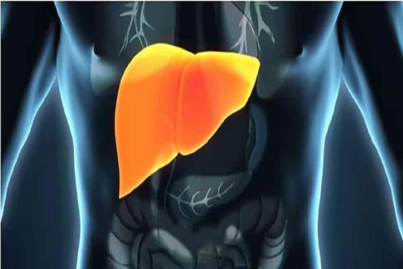 ডান দিকের পাঁজরের নীচে ব্যথা: যদি আপনি আপনার ডান দিকে হালকা ব্যথা, চাপ বা ভারী বোধ করেন, তাহলে এটিকে উপেক্ষা করবেন না। এটি লিভারে চর্বি জমা হওয়ার কারণে হতে পারে, যার ফলে এটি বড় হয়ে যায়। প্রচুর খাবার খাওয়ার পরে বা শুয়ে থাকার পরে এই ব্যথা আরও খারাপ হতে পারে।