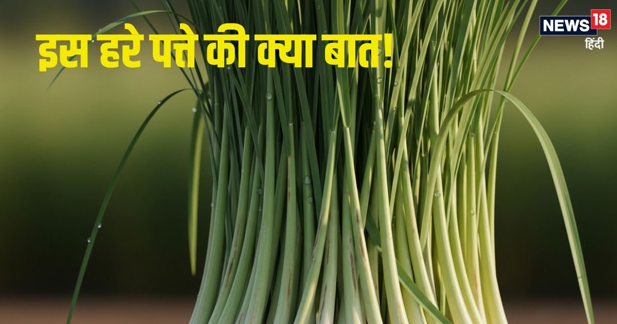 Lemon grass benefits: लेमन ग्रास के फायदे जान होंगे हैरान, डाइट में करें शामिल