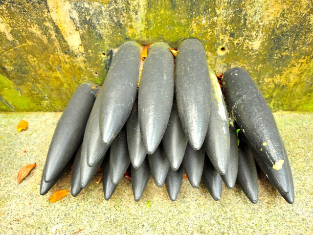 शख्स ने अपने शरीर में डाला द्वितीय विश्व युद्ध का बम! डॉक्टर देखकर रह गए हैरान!