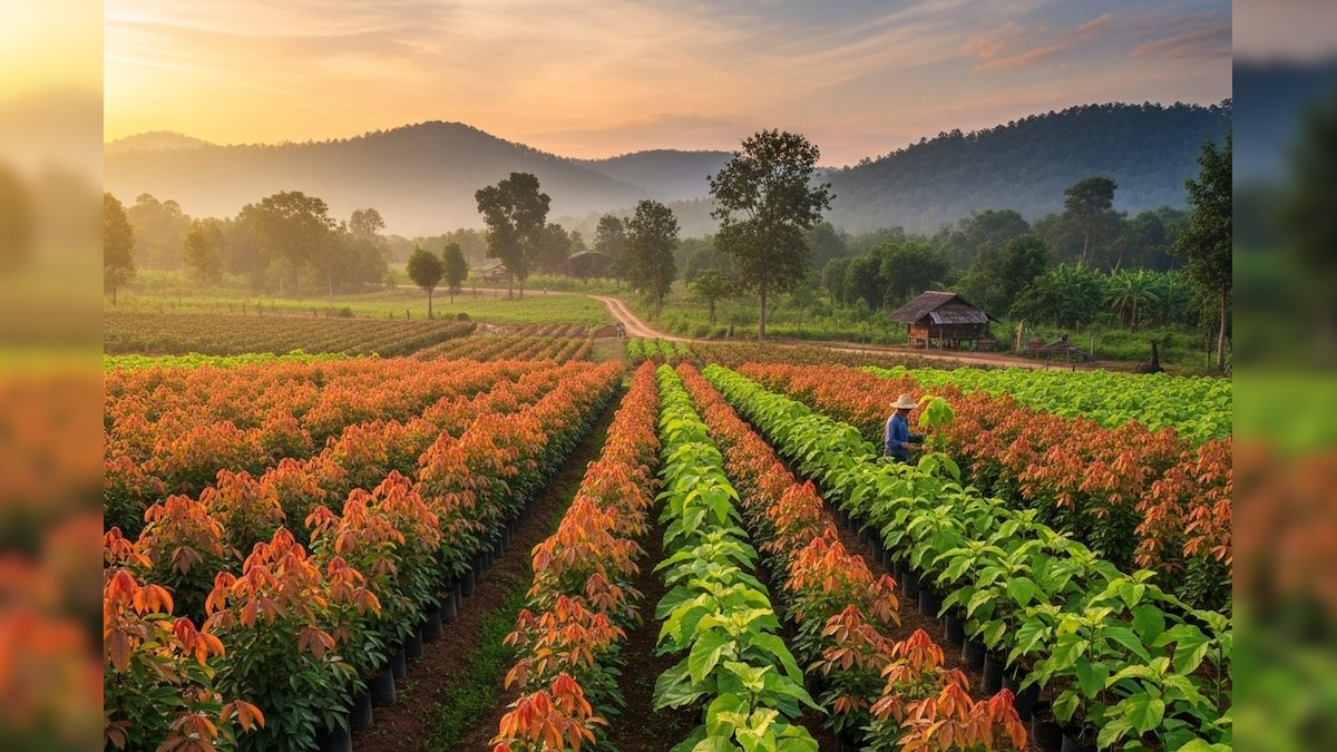 इस पेड़ की खेती कर देगी किसानों का मालामाल, चंद सालों में बन जाएंगे लखपति, जानें नाम
