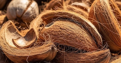 नारियल के छिलकों का इस्तेमाल