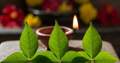 बेलपत्र: भगवान शिव को प्रिय, शरीर के तीनों दोषों का दुश्मन, तुरंत राहत देता है.