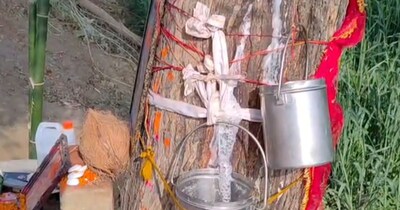 नीम का पेड़ बना भगवान.