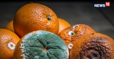 कुछ आसान टिप्स अपनाकर आप संतरे को हफ्ते भर से ज्यादा समय तक ताजा और जूसी बनाए रख सकते हैं.