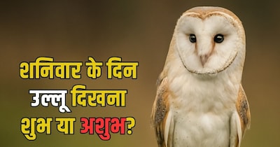 शनिवार को उल्लू दिखने का क्या मतलब होता है?