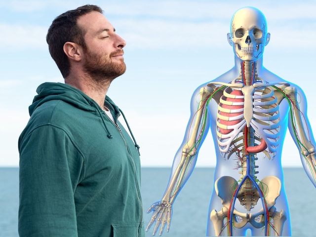 আমাদের শরীরে দিনে কত অক্সিজেন প্রয়োজন? 99% মানুষ এই মজার তথ্য জানেন না