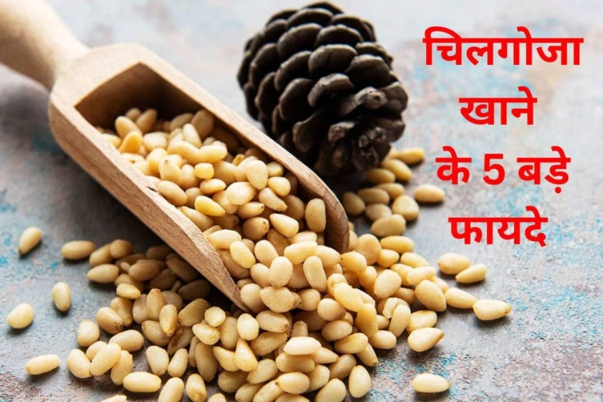 ये छोटा सा नट दिल-दिमाग को रखे स्वस्थ याददाश्त से लेकर इम्युनिटी तक करता है मजबूत जानें 5 बड़े फायदे