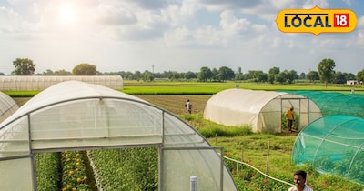 स्मार्ट खेती: पॉलीहाउस से बढ़ेगी किसानों की आय, मौसम की मार से बचेगी फसल