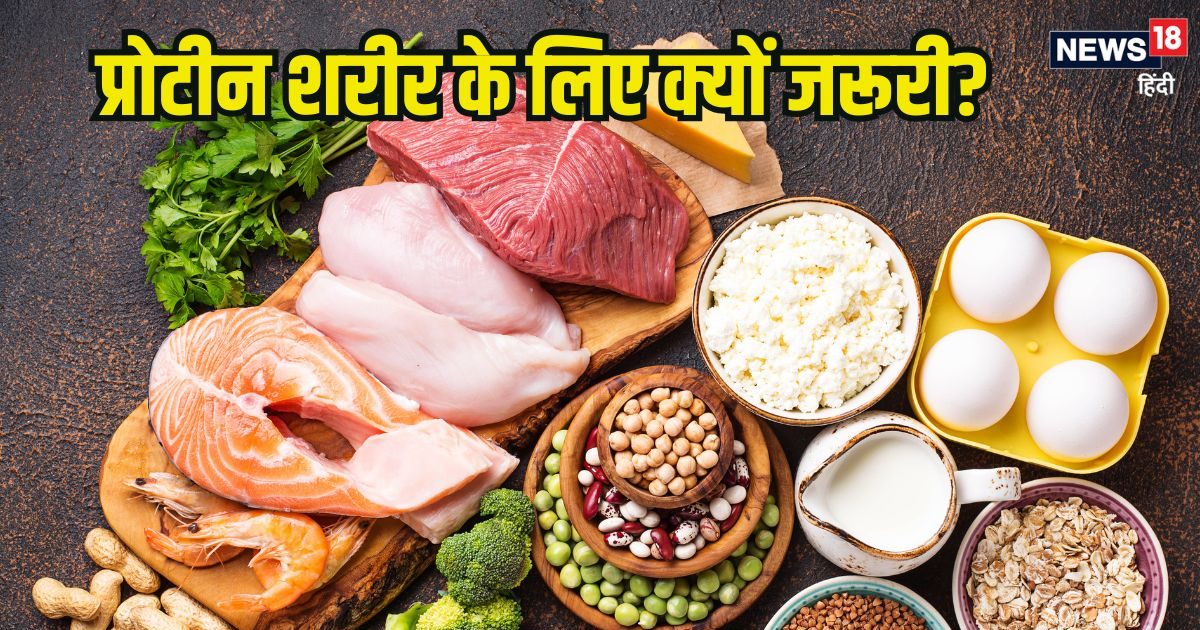 शरीर के लिए प्रोटीन क्यों है जरूरी? मसल्स को स्ट्रॉन्ग रखने के लिए प्रोटीन में क्या खाएं