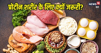 शाकाहारियों के लिए इन चीजों में छिपा है प्रोटीन का खजाना.