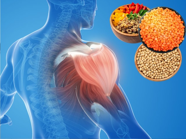 এই বীজে মুরগির মাংসের চেয়ে বেশি প্রোটিন আছে, জেনে নিন প্রতিদিন কত পরিমাণে খেতে হবে