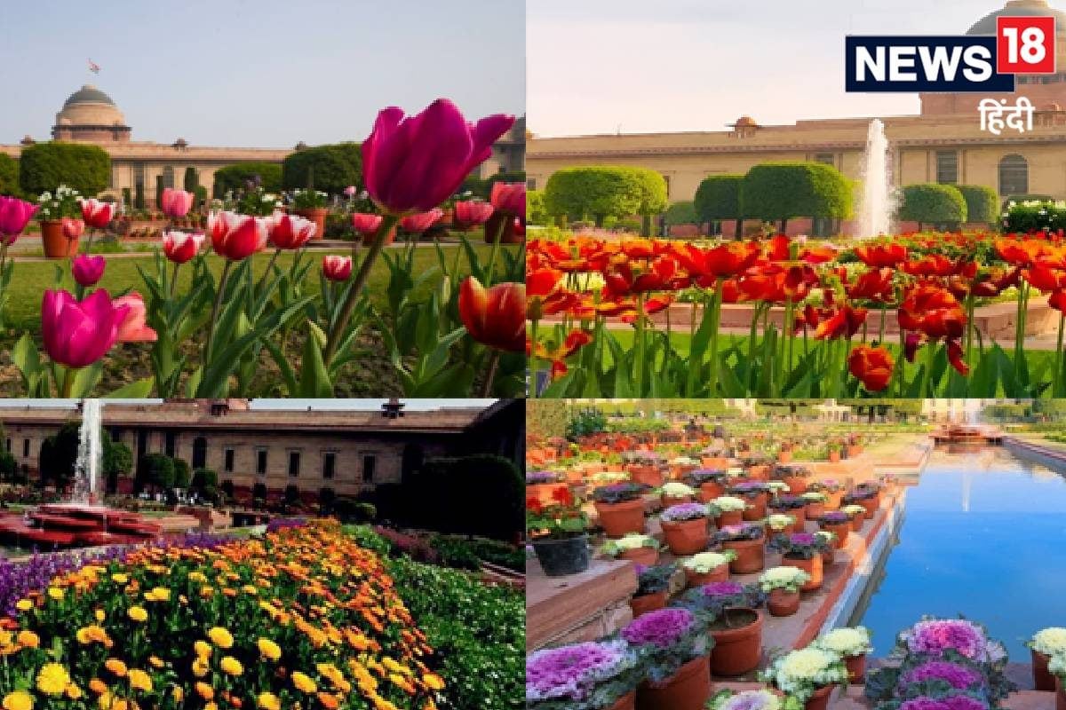 3 फरवरी से खुल रहे अमृत उद्यान के लिए कहां से बुक करें टिकट कितने बजे से कितने बजे तक एंट्री जानें सब कुछ