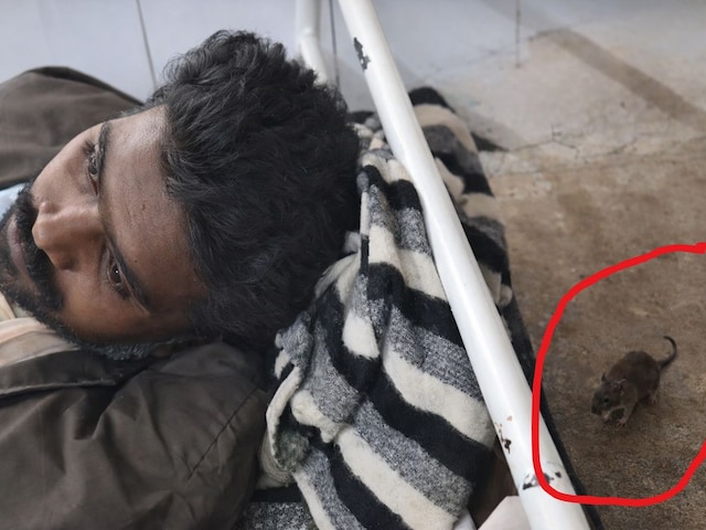 इंदौर के बाद अशोकनगर जिला अस्पताल में चूहों का आतंक, मरीजों की सुरक्षा पर सवाल