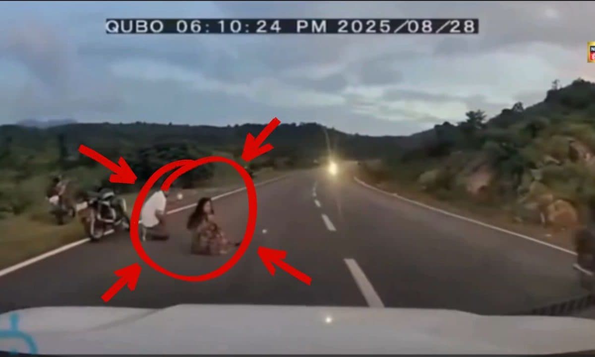 Viral Video: बस कुछ इंच से बची जानड्राइवर ने लगाई इमरजेंसी ब्रेकनहीं तो रील बन जाती आखिरी वीडियो