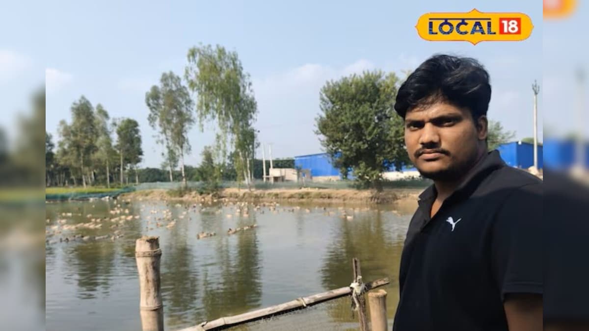 हरियाणा से इंजीनियरिंग, YouTube से आइडिया! बिहार के युवा ने बत्तख पालन को बनाया मुनाफे का ‘स्मार्ट स्टार्टअप’