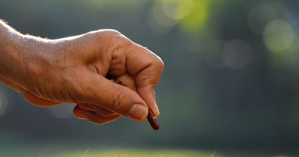 क्‍या है सीड बिल, जिसे संसद में पेश करने वाली है सरकार, 30 लाख रुपये जुर्माने का होगा प्रावधान, किसानों को फायदा