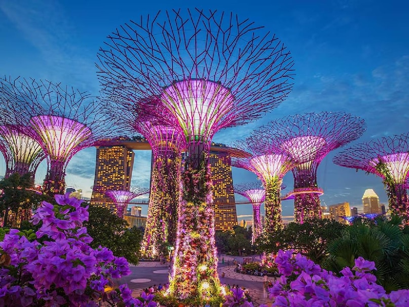 सनसेट के समय यह राइड और भी खूबसूरत हो जाती है. स्काई डाइनिंग, प्राइवेट केबिन और बर्थडे-एनिवर्सरी सेलिब्रेशन जैसे प्रीमियम विकल्प भी भारतीय पर्यटकों को खूब पसंद आ रहे हैं.शाम को सेंटोसा का विंग्स ऑफ टाइम फायर सिम्फनी शो आपके इस अनुभव को और भव्य बना सकता है. लेजर, फायर, म्यूजिक और वॉटर इफेक्ट्स से सजा यह नाइट शो हर उम्र के यात्रियों के लिए विजुअल ट्रीट है.