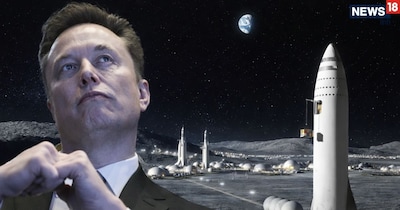 एलन मस्क