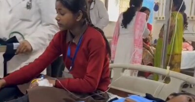 पार्क घूमने आईं छात्राओं पर मधुमक्खियों ने किया हमला.