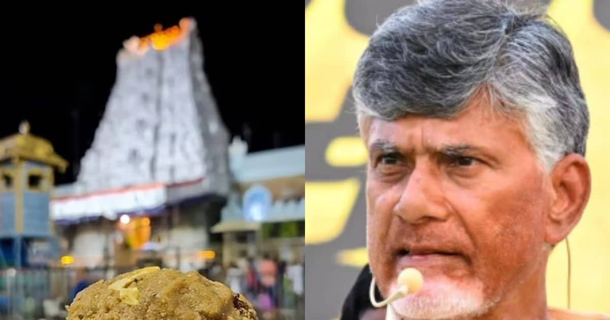 तिरुपति लड्डू में बाथरूम साफ करने वाला एसिड? चंद्रबाबू नायडू का बड़ा दावा