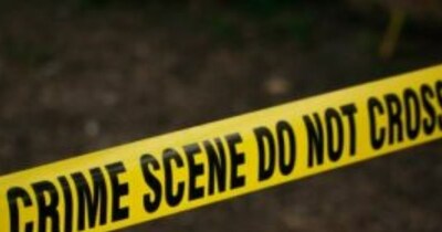 क्राइम सीन पर पीला टेप ही क्यों? पुलिस के इस चुनाव के पीछे का हैरान करने वाला कारण!