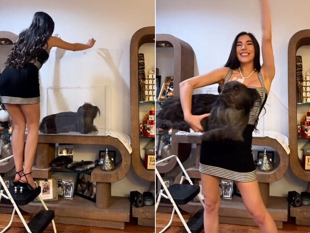 Pet dog dies, woman freezes it and decorates it in glass!