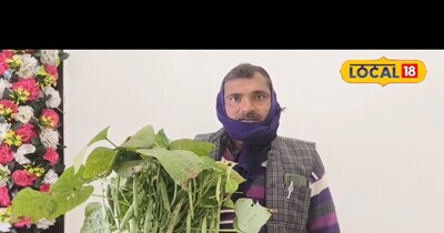 फर्रुखाबाद के किसान क्लस्टर बीन्स की खेती से कमा रहे लाखों, बाजार में भारी मांग.