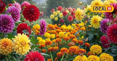 गार्डनिंग टिप्स 