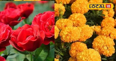 फूलों की खेती