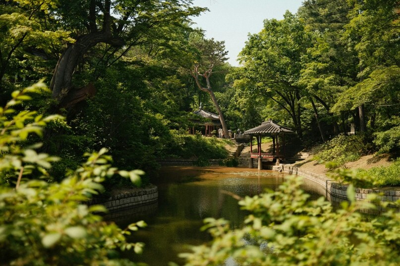 Nearby, Changdeokgung Palace—a UNESCO World Heritage Site—houses the Secret Garden, a tranquil forest of pavilions and lotus ponds that feels worlds apart from the bustling city beyond its walls. Nearby, Changdeokgung Palace—a UNESCO World Heritage Site—houses the Secret Garden, a tranquil forest of pavilions and lotus ponds that feels worlds apart from the bustling city beyond its walls.