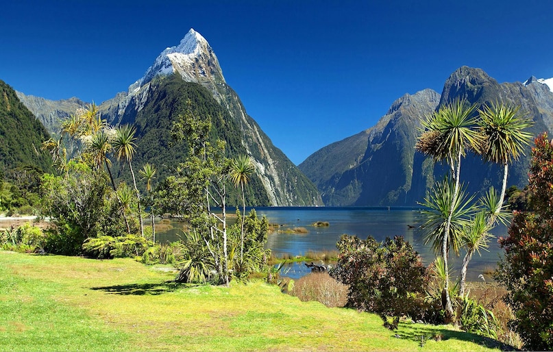 New Zealand: New Zealand is perfect for solo female travellers who love adventure. The locals are friendly, public transport is reliable, and outdoor activities like hiking, kayaking, and exploring fjords are safe and well-organized throughout the country.