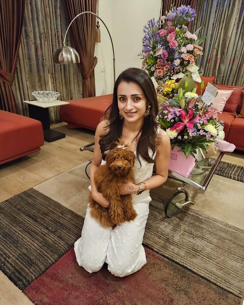 तृषा कृष्णन तमिल फिल्म इंडस्ट्री की सबसे नामी एक्ट्रेसेस में शुमार हैं. फिल्मों में उनकी लोकप्रियता के साथ-साथ उनकी लग्जरी लाइफस्टाइल और आलीशान जिंदगी भी अक्सर चर्चा में रहती है, जो उनके सफल और लंबे करियर की झलक पेश करती है. तृषा कृष्णन तमिल फिल्म इंडस्ट्री की सबसे नामी एक्ट्रेसेस में शुमार हैं. फिल्मों में उनकी लोकप्रियता के साथ-साथ उनकी लग्जरी लाइफस्टाइल और आलीशान जिंदगी भी अक्सर चर्चा में रहती है, जो उनके सफल और लंबे करियर की झलक पेश करती है.