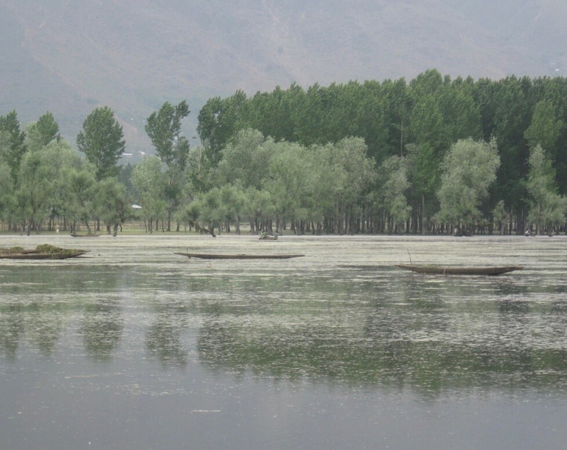 Wular Lake (Bandipora): One of the largest freshwater lakes in Asia, Wular acts as a natural flood reservoir for the Jhelum River. The lake is so large that its waters can become quite turbulent, creating mini-waves. Wular Lake (Bandipora): One of the largest freshwater lakes in Asia, Wular acts as a natural flood reservoir for the Jhelum River. The lake is so large that its waters can become quite turbulent, creating mini-waves.