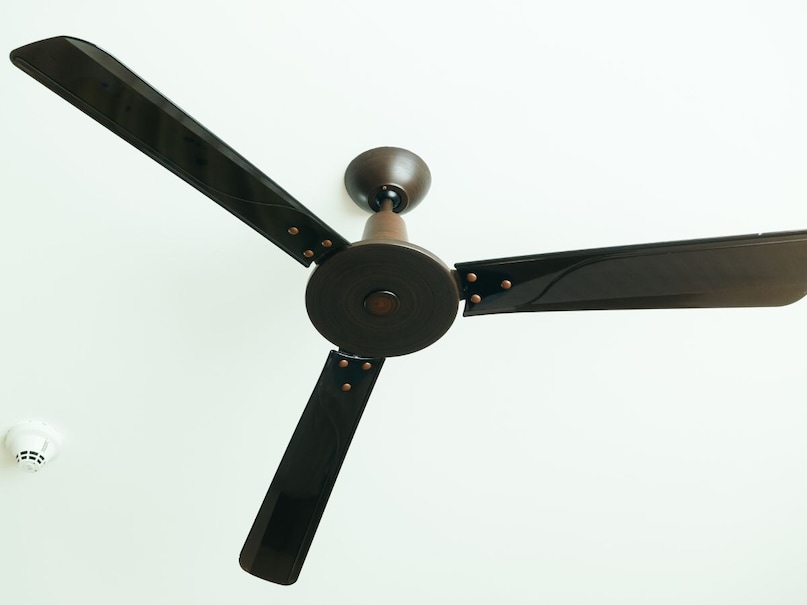 प्रथम, स्क्रू आणि फिटिंग्ज तपासा : पंखा आवाज करत असेल तर प्रथम फिटिंग्ज तपासा. कधीकधी, ब्लेड किंवा कव्हर स्क्रू सैल होतात, ज्यामुळे आवाज येतो. स्क्रूड्रायव्हरने सर्व स्क्रू हलके घट्ट करा. लक्षात ठेवा की जास्त घट्ट केल्याने थ्रेड खराब होऊ शकतात. हा सर्वात सोपा आणि प्रभावी उपाय आहे.