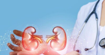 ये हैं किडनी कैंसर से पहले दिखने वाले लक्षण