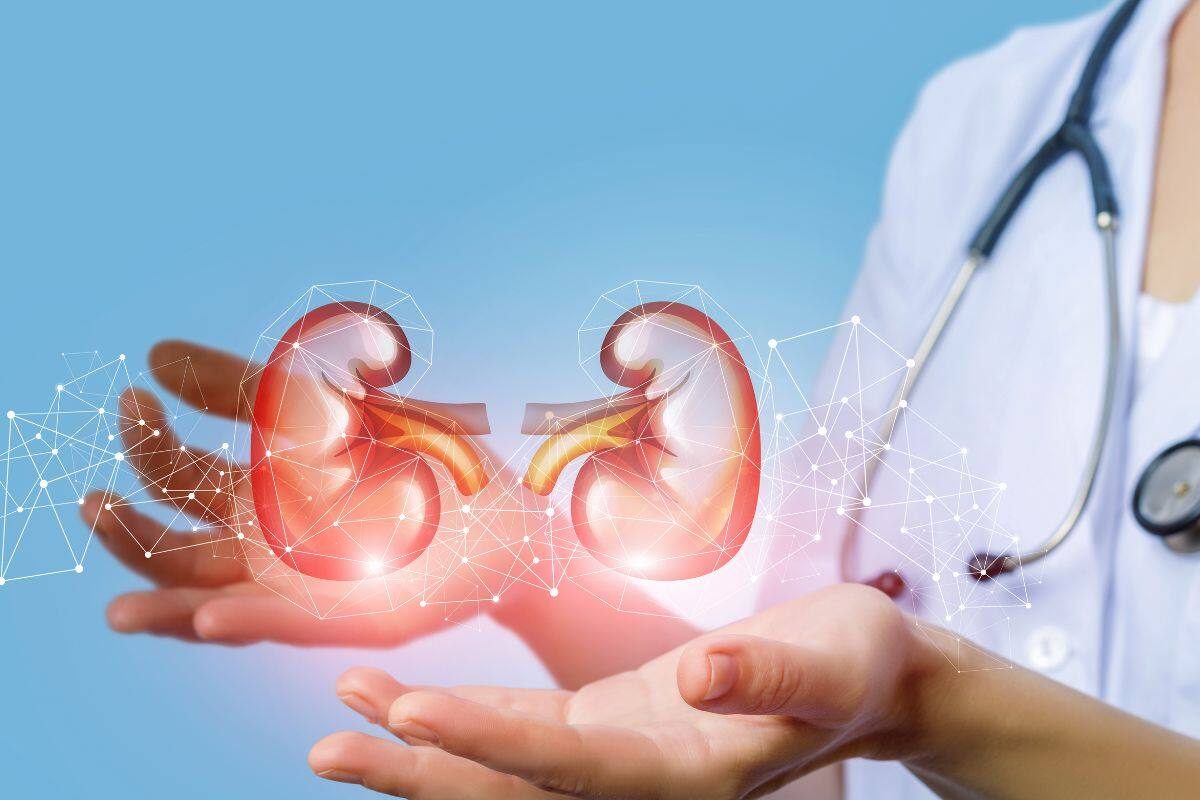 Kidney Cancer Silent Symptoms: ये हैं किडनी कैंसर से पहले दिखने वाले लक्षण!... शरीर में दिखते हैं ये बदलाव, तो आपके जीवन के लिए है खतरा