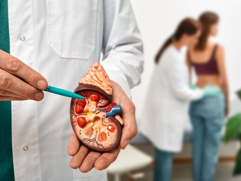 Kidney Cancer, Kidney, Cancer, health, కిడ్నీ, క్యాన్సర్, కిడ్నీ క్యాన్సర్, కిడ్నీ ఫెయిల్, ఆరోగ్యం Kidney Cancer, Kidney, Cancer, health, కిడ్నీ, క్యాన్సర్, కిడ్నీ క్యాన్సర్, కిడ్నీ ఫెయిల్, ఆరోగ్యం