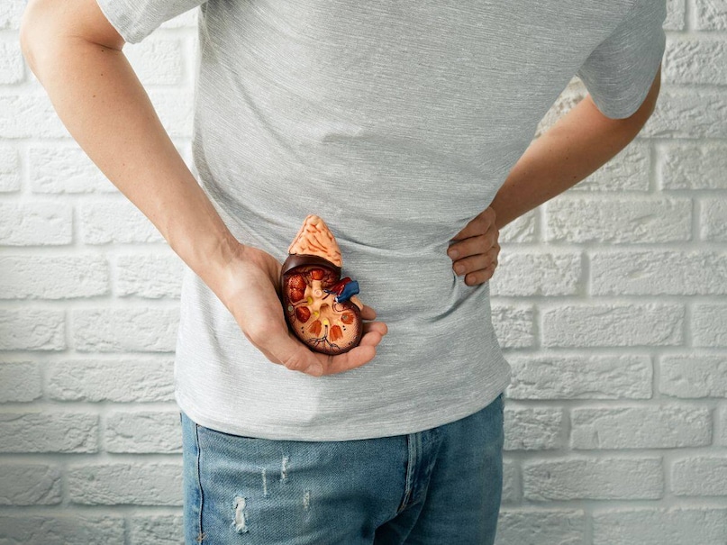 Kidney Cancer, Kidney, Cancer, health, కిడ్నీ, క్యాన్సర్, కిడ్నీ క్యాన్సర్, కిడ్నీ ఫెయిల్, ఆరోగ్యం Kidney Cancer, Kidney, Cancer, health, కిడ్నీ, క్యాన్సర్, కిడ్నీ క్యాన్సర్, కిడ్నీ ఫెయిల్, ఆరోగ్యం