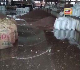 राजकोट में बेमौसम बारिश का कहर: किसानों और व्यापारियों का अनाज पानी में बहा