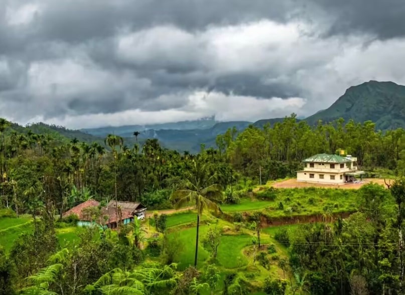 Coorg, Karnataka: In spring, the "Scotland of India" is blanketed in white as coffee blossoms release a jasmine-like fragrance across the hills. The misty mornings at Raja’s Seat and the lush, emerald-green spice plantations provide a soft-focus, ethereal backdrop that looks particularly stunning during the "golden hour" of sunrise. Coorg, Karnataka: In spring, the "Scotland of India" is blanketed in white as coffee blossoms release a jasmine-like fragrance across the hills. The misty mornings at Raja’s Seat and the lush, emerald-green spice plantations provide a soft-focus, ethereal backdrop that looks particularly stunning during the "golden hour" of sunrise.