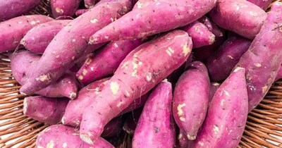 dishes to eat during the Chaitra Navratri fast