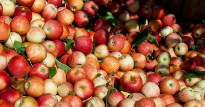  Apple Capital Of India 