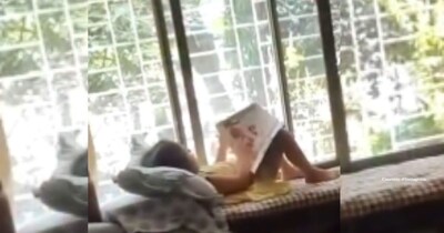 नन्ही परी ने 'धुरंधर' गाने पर किया धमाकेदार डांस, वीडियो देख आ जाएगी मौज.