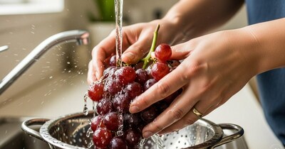 আঙুর থেকে কীটনাশক সরাতে চান? এই ঘরোয়া প্রতিকারগুলি ব্যবহার করে দেখুন!