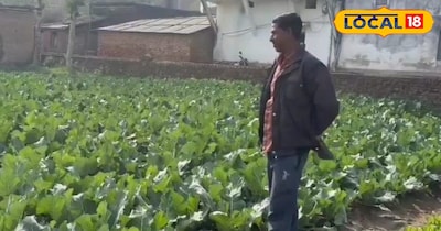 हालांकि इस सफलता के बावजूद किसानों के मन में एक कसक भी है. उनका कहना है कि अब तक उन्हें किसी सरकारी योजना या प्रोत्साहन का सीधा लाभ नहीं मिला है.